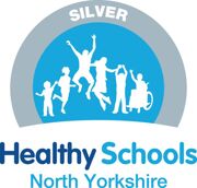 Healthy School NY Logo Silver